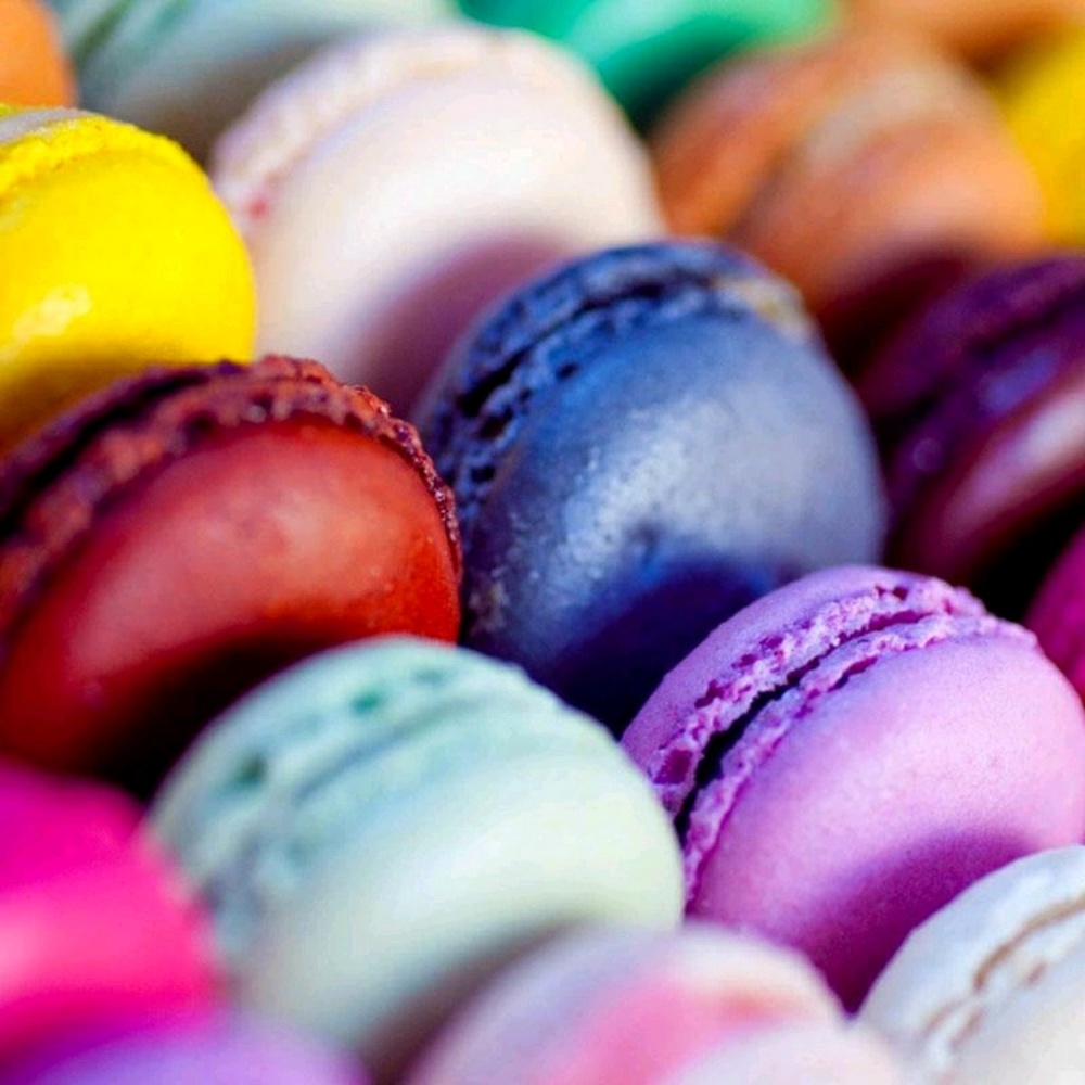 Meet your Posher, Sheridan